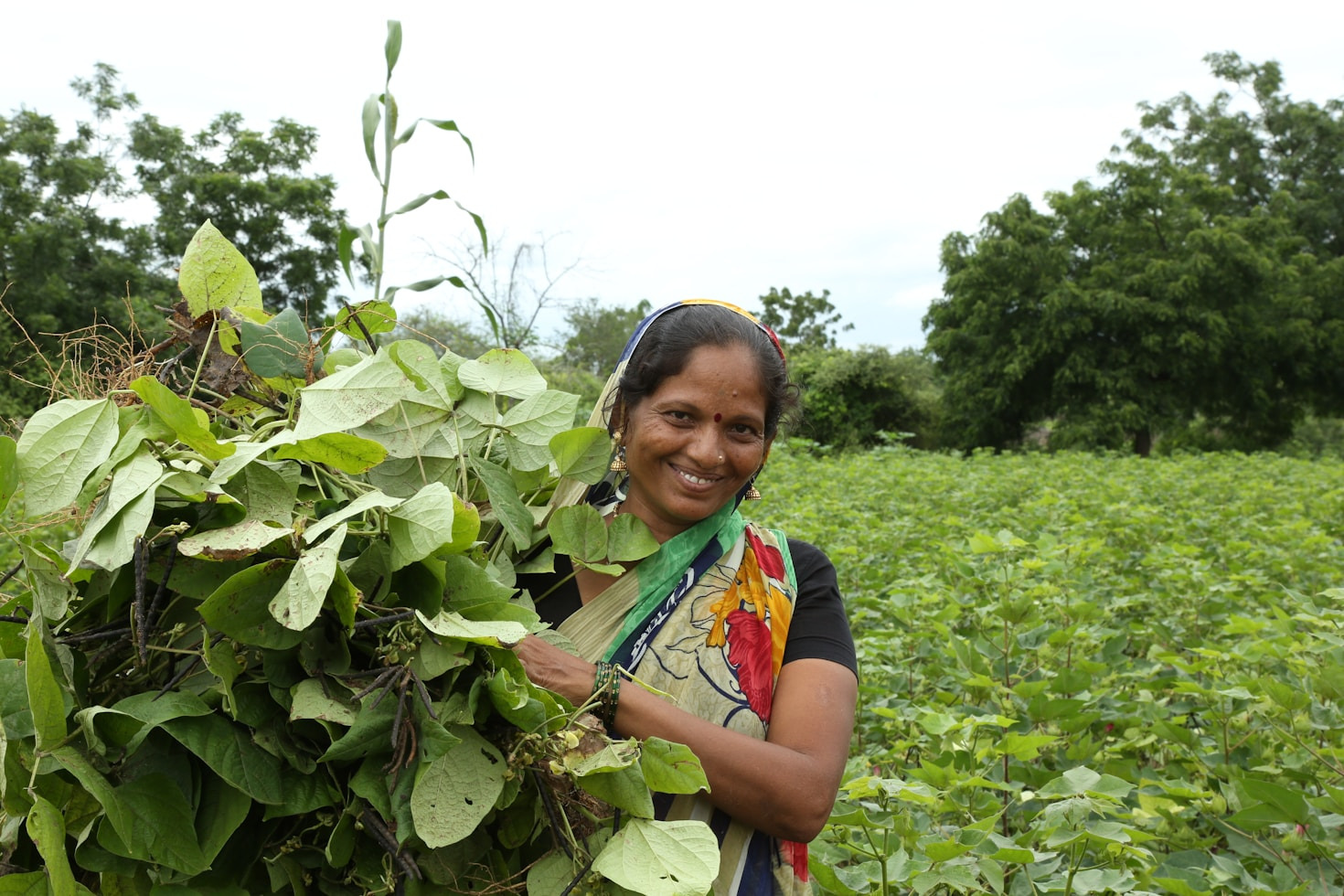 Success Stories From Our Recent Skill Initiatives